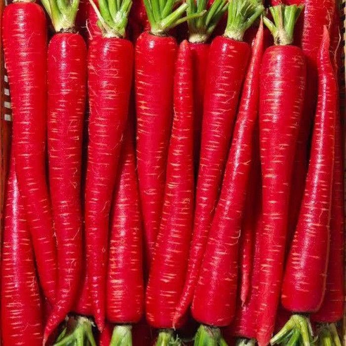 Carrot Red